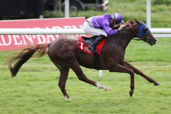 Naschtgeist siegt unter Rene Piechulek Naschtgeist siegt unter Rene Piechulek