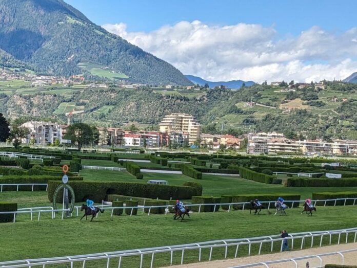 Northsea Star in Meran