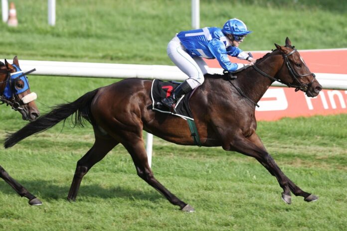 Orthos siegt unter Silke Brüggemann