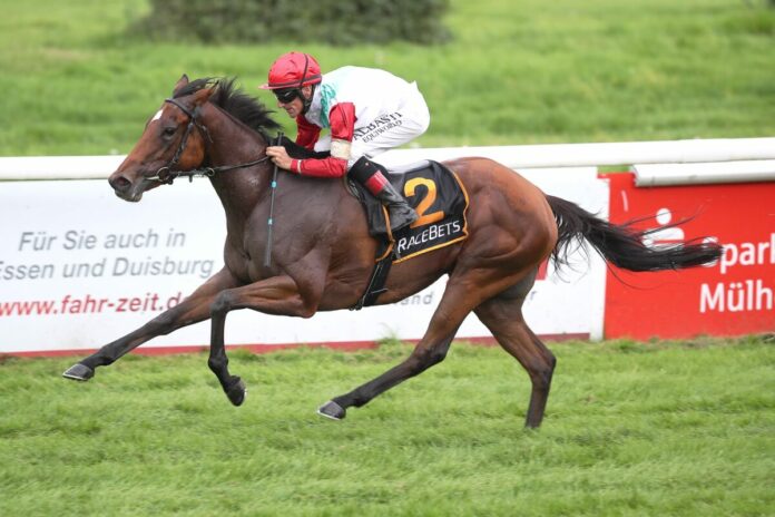 Plümo siegt unter Andrasch Starke