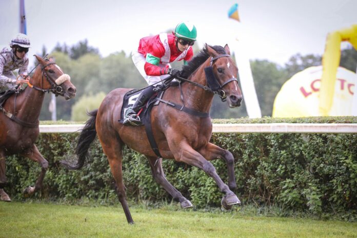 Promotion siegt unter Marie Gast