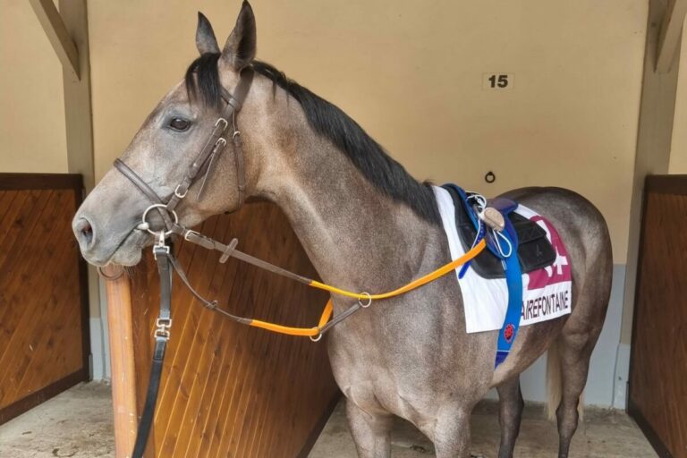 Rohnes Riyak gewinnt Handicap in Clairefontaine, Prairie Glory Dritter