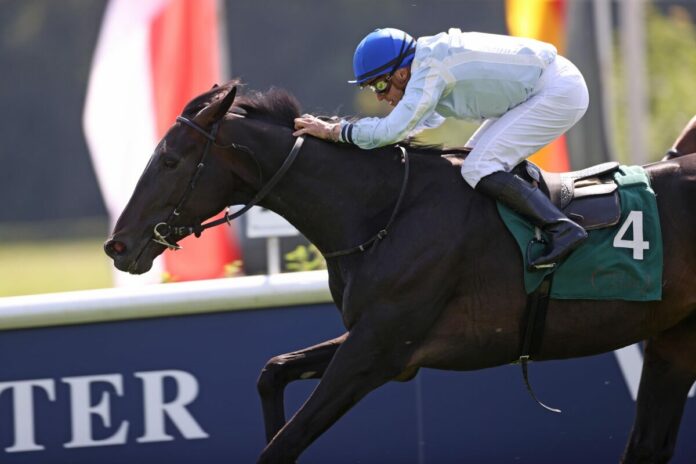 Romano siegt unter Wladimir Panov