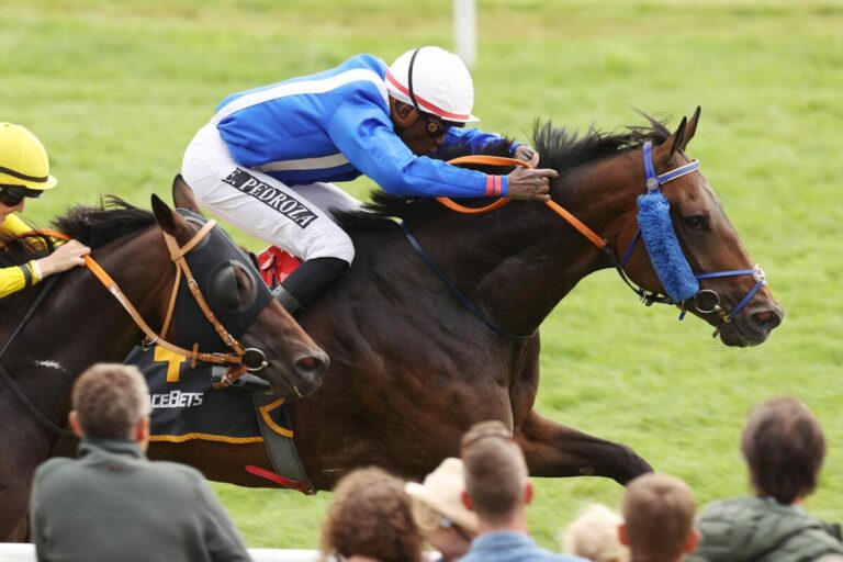 Royal Emerther siegt unter Eduardo Pedroza