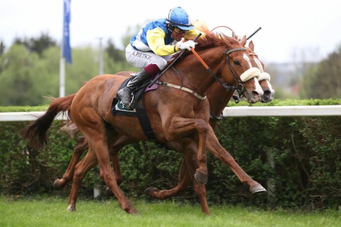 Tom Red siegt unter Alexander Pietsch