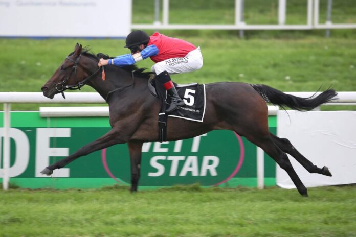 Shagara siegt unter Andrasch Starke (Archiv)