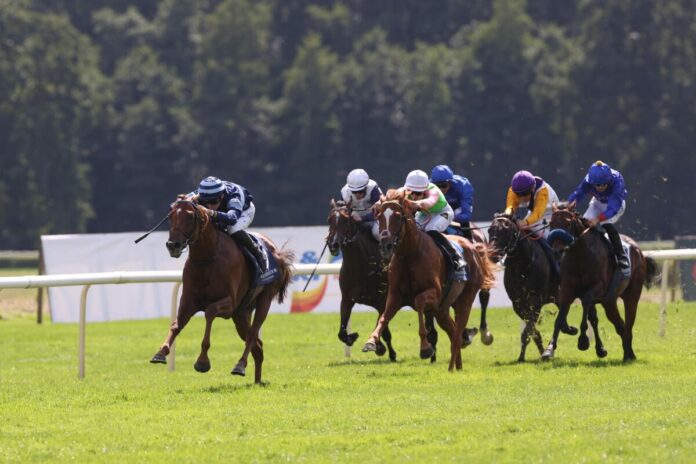 Simca Mille siegt unter Alexis Pouchin im Westminster 133. Großen Preis von Berlin