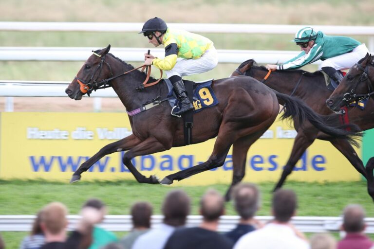 Nur sechs im Auktions-Rennen – Vier Mal Klug gegen Recke und Wöhler