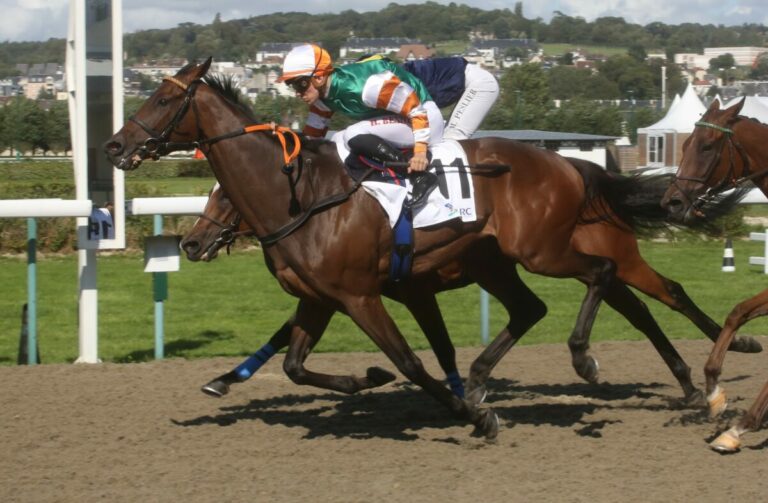 Ami Soledad macht aus 8.000 Euro 17.825 Euro: Smrczek-Tor in Deauville