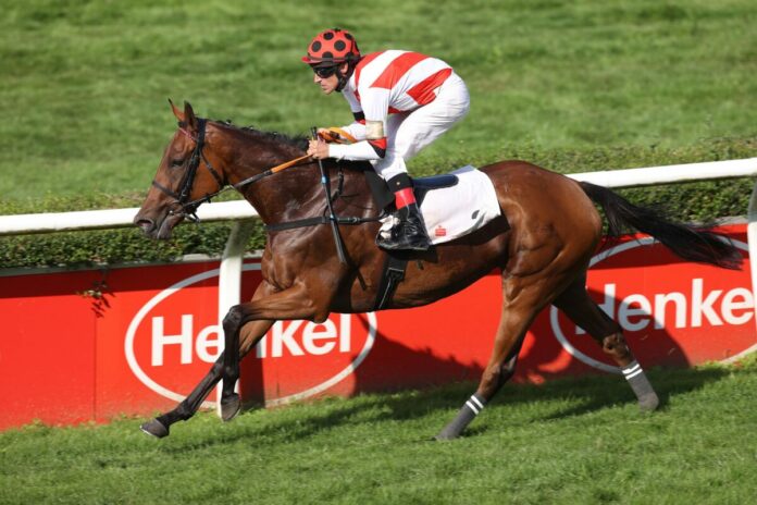 Tres Rock Women (Archiv) Tres Rock Women (Archiv)