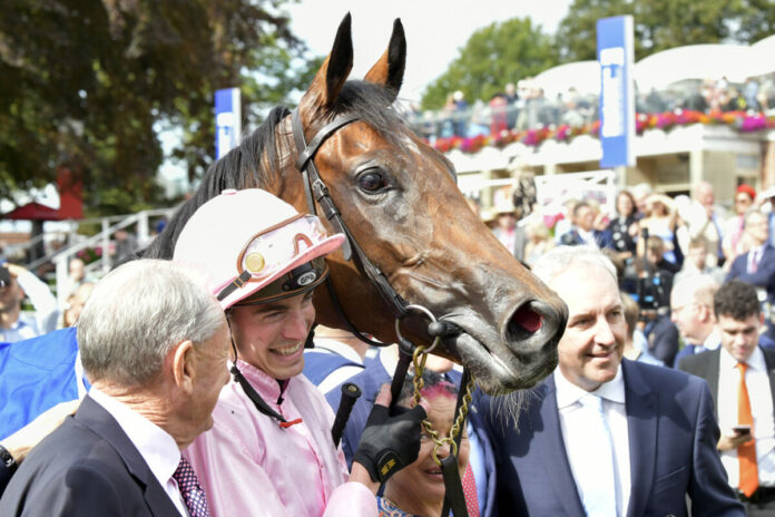 Warm Heart (Archiv) Foto: Sorge