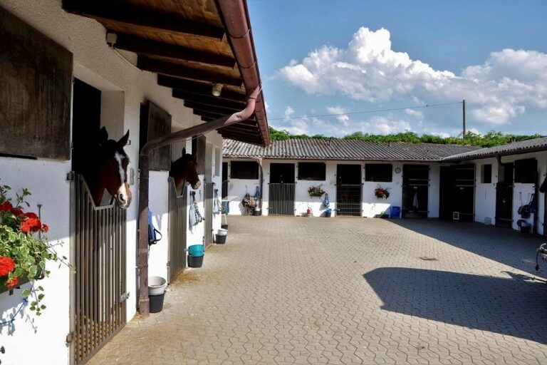 Tag der offenen Tür im Rennstall Weber