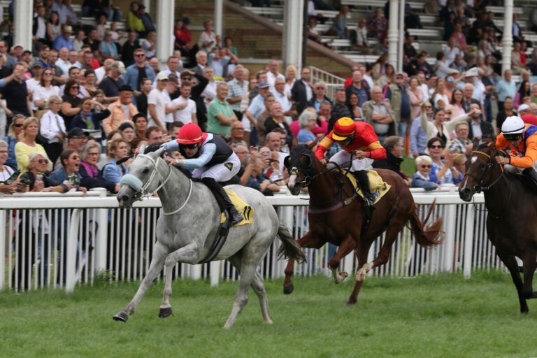 Three Havanas starke Zweite im Premio Dormello