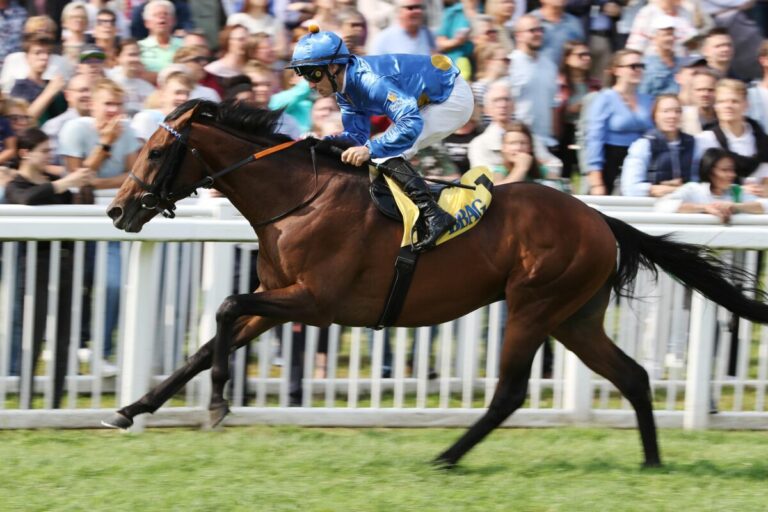 Derbyvierter Winning Spirit bringt 430.000 Euro bei Arc-Sale