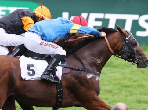 Zerostress bei seinem Sieg in der Goldenen Peitsche