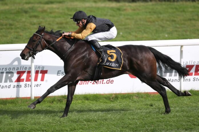 Armira siegt unter Rene Piechulek