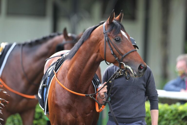 Ashrun (Archiv)
