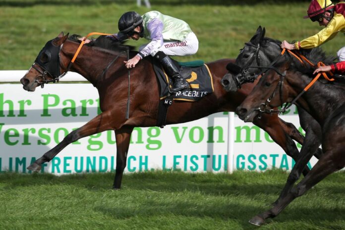 Aurelia Aurita siegt unter Michael Cadeddu