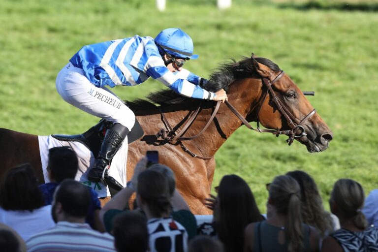 Kaum geht es über einen weiteren Weg, siegt Sombrero leicht