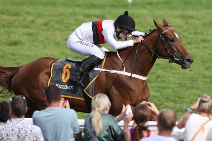 Delia siegt unter Maxim Pecheur