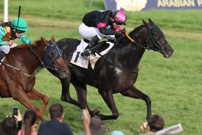 Belisaire siegt unter Miguel Lopez