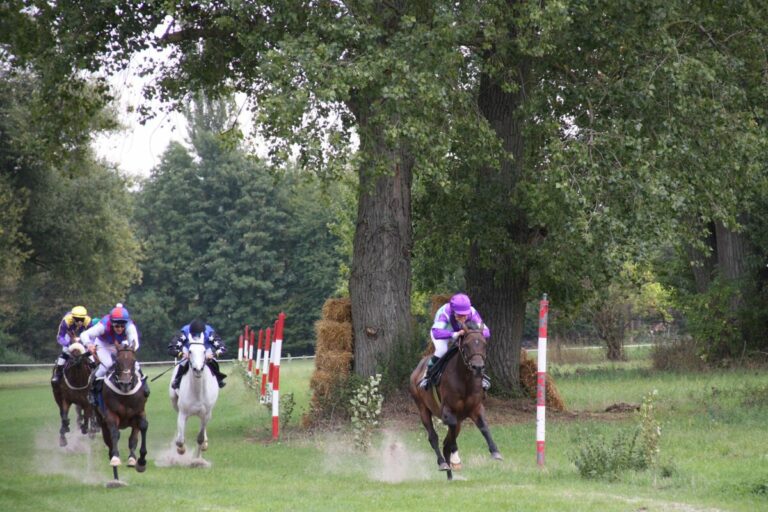 Billigheimer Purzelmarkt wieder mit Galopprennen – Aber ohne Toto