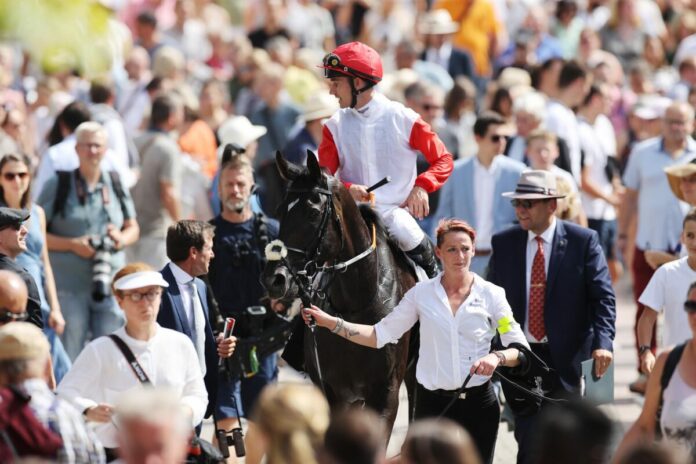 Calif siegt unter Rene Piechulek im 90. Brunner - Oettingen-Rennen