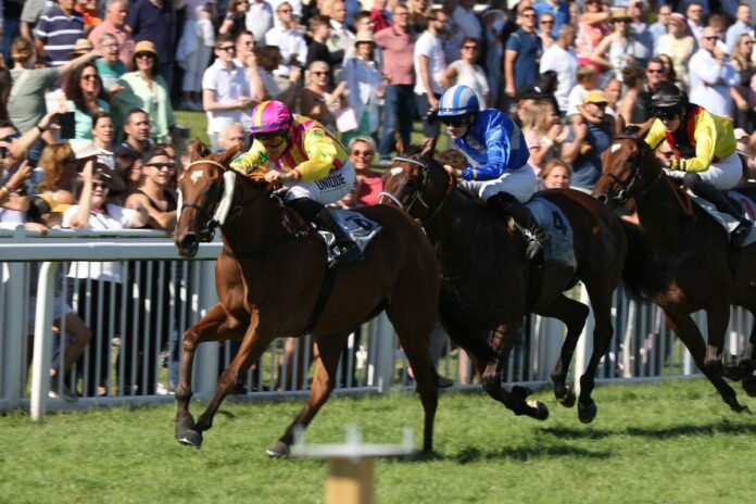 Ciyounesse siegt unter Thore Hammer-Hansen