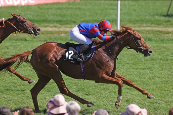 Diamond Vega siegt unter Laura Pearson im Wackenhut Mercedes Benz Fillies Cup Diamond Vega siegt unter Laura Pearson im Wackenhut Mercedes Benz Fillies Cup