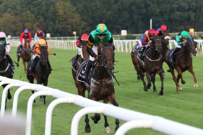 Dilpak siegt unter Wladimir Panov