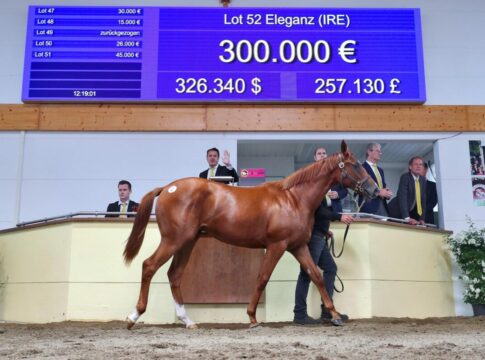 Eleganz (Kat.-No. 52)