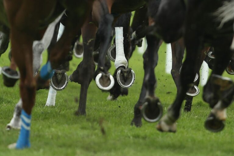 Impression Galopp