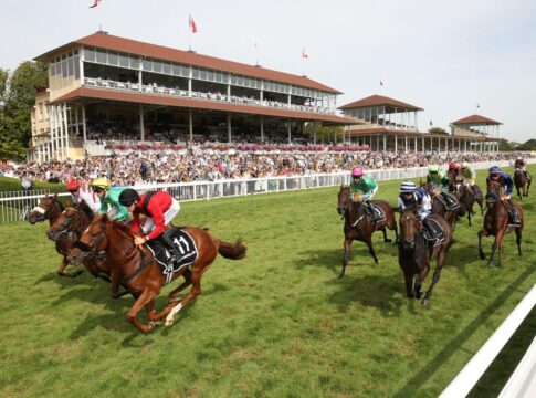 Trendbarometer: Wer gewinnt 2026 die meisten Gruppe-Rennen?