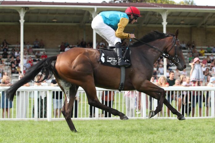 Kassada beim Aufgalopp in Iffezheim Kassada beim Aufgalopp in Iffezheim