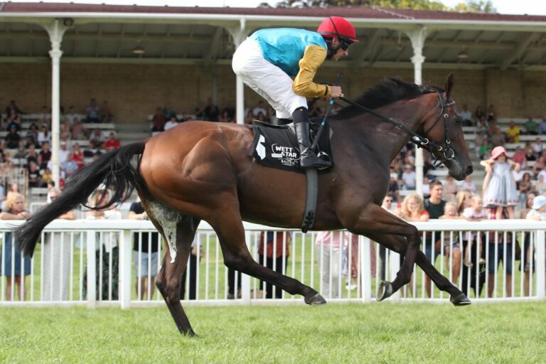 Kassada beim Aufgalopp in Iffezheim