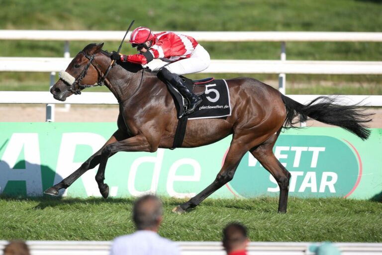 Stephanie in Love siegt beim Kölner After Work-Auftakt