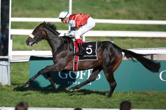 Wintertraum siegt unter Martin Seidl