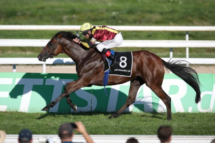 Saba Storm siegt unter Andrasch Starke