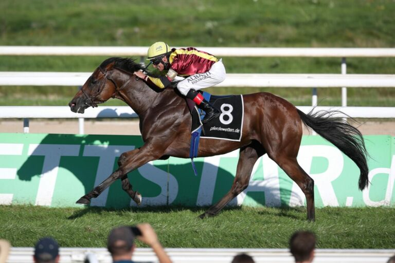 Endlich ein Favorit – Dr.-Sieg durch Saba Storm