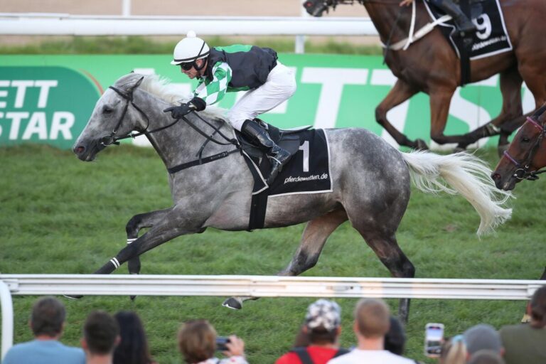 Mister Wonderful gewinnt unter Miguel Lopez ein offenes Rennen