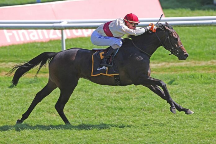 Lady Mary siegt unter Martin Seidl