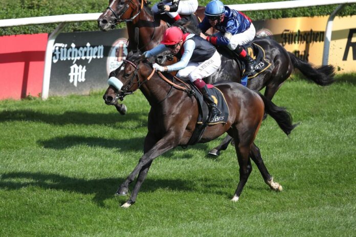 Like Magic siegt unter Alexander Pietsch Like Magic siegt unter Alexander Pietsch