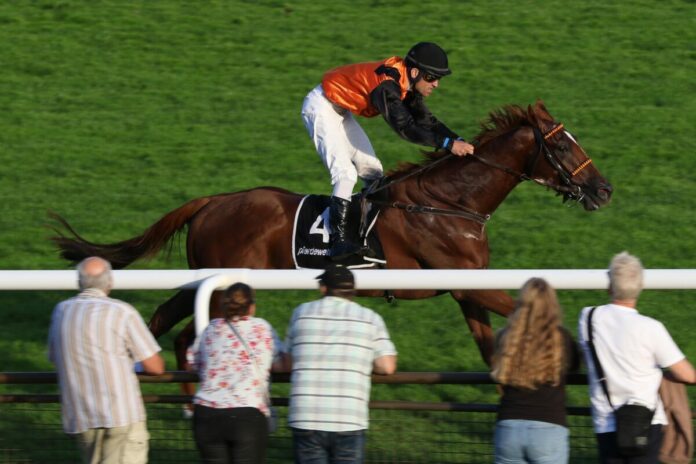 Lips Prince siegt unter Rene Koplik