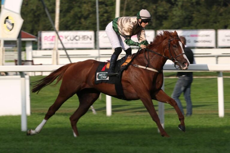 Joli Corbeau siegt in Frankreich – Zweiter Sieg für Bocskai-Stute