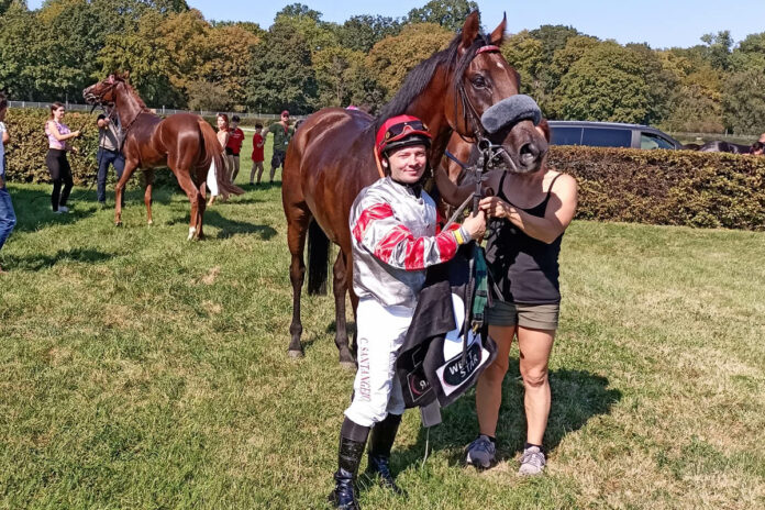 Mister Hollow Mister Hollow