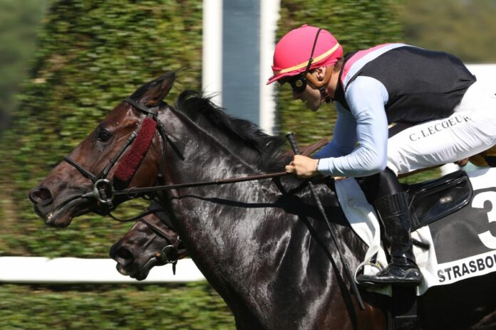 Missouri siegt unter Clement Lecoeuvre