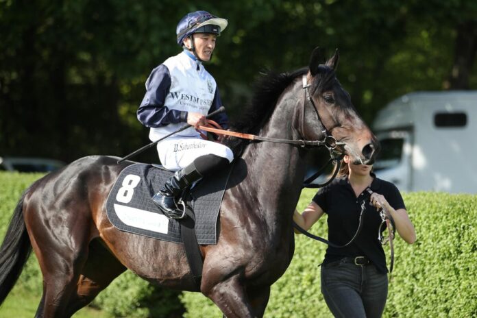 Nordminster (Archiv)