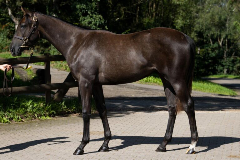 Zwei Mal 140.000 Euro  – Muskoka-Schwester an Golden Goal