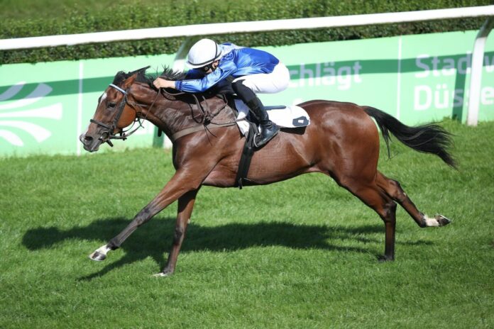 Princess Valentina siegt unter Dastan Sabatbekov Princess Valentina siegt unter Dastan Sabatbekov