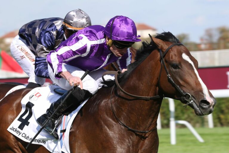 Auch Continuous für den Arc nachgenannt – Emily Dickinson im Cadran